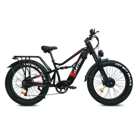 Electric Bicycle