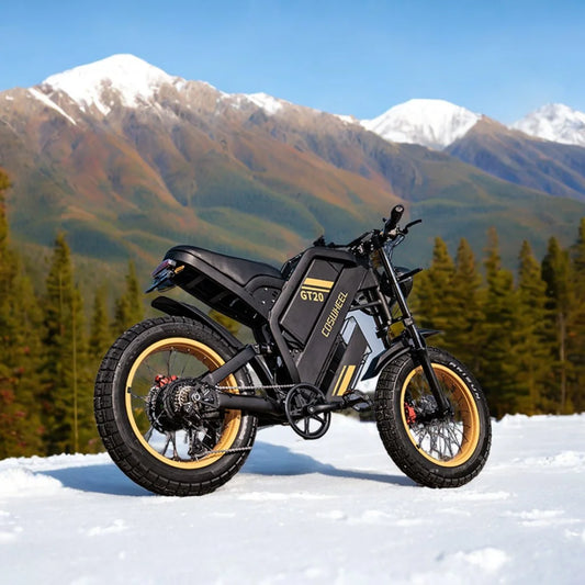 3000W Electric Off-Road Motorcycle
